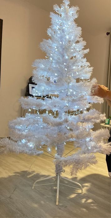 Brad alb din Jumbo