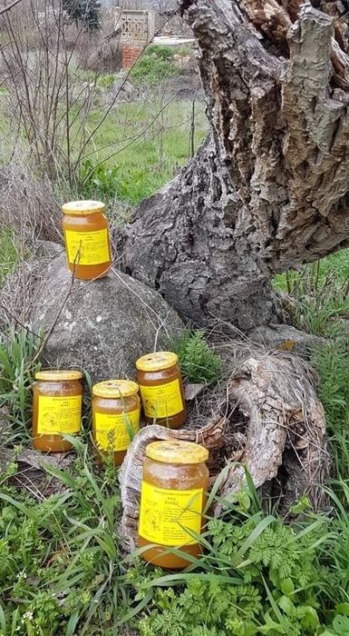 Билков пчелен мед