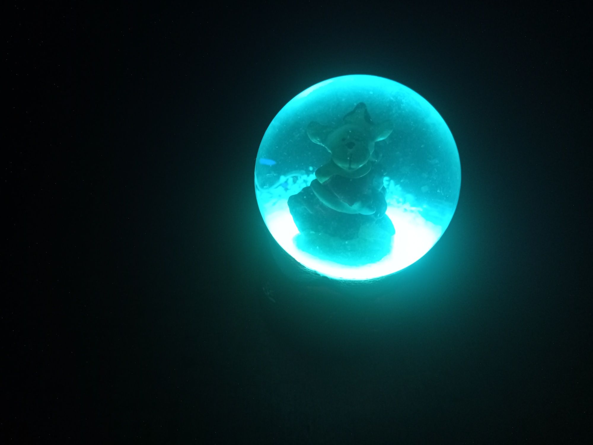 Glob luminos de vânzare