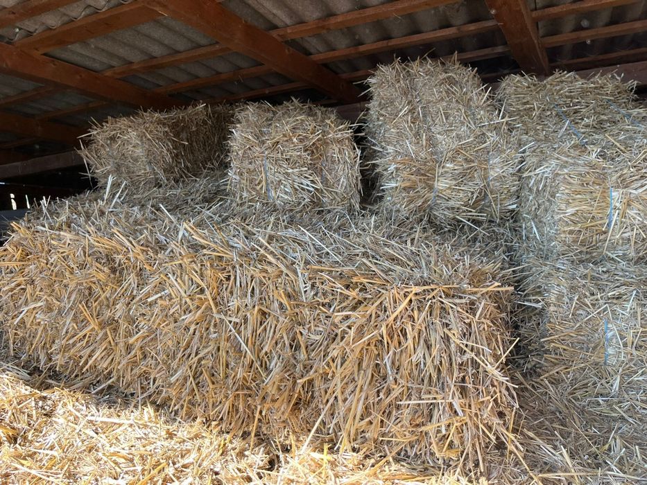 Baloti de paie  de vanzare