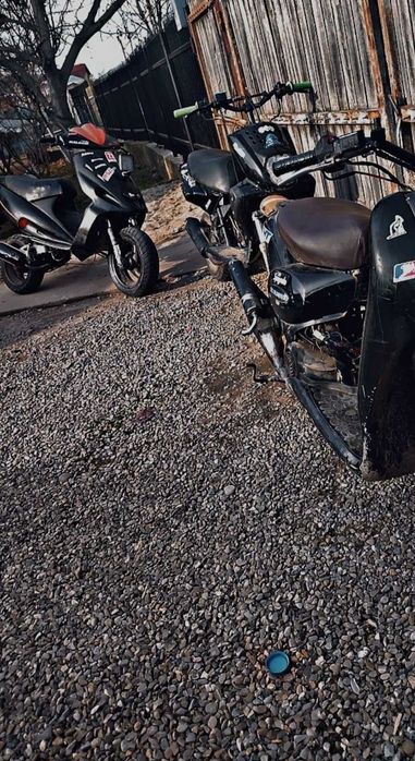 Vând mallagutii f12