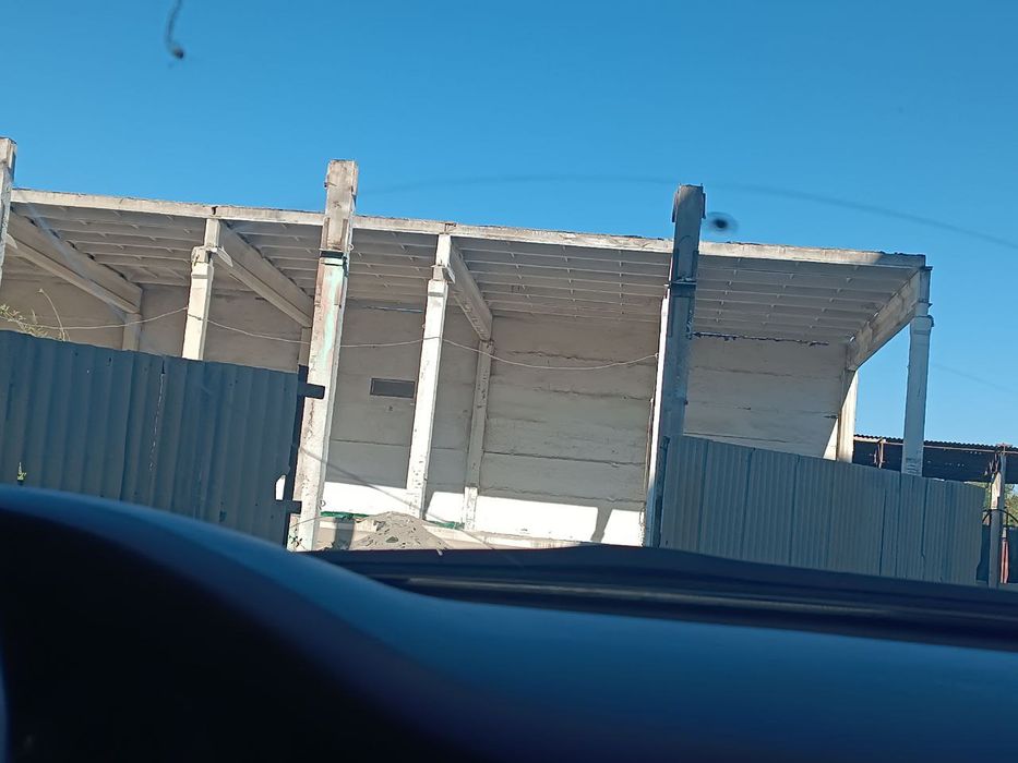 Бокис куриб берамиз