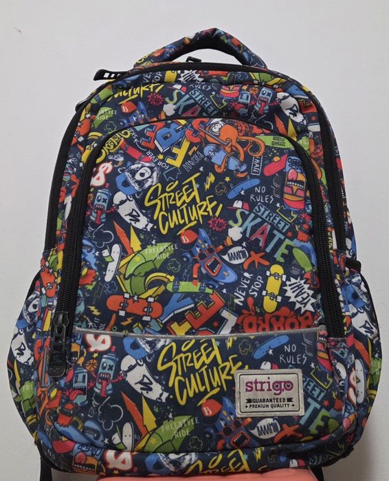 Ghiozdan Strigo, 24 litri, multicolor