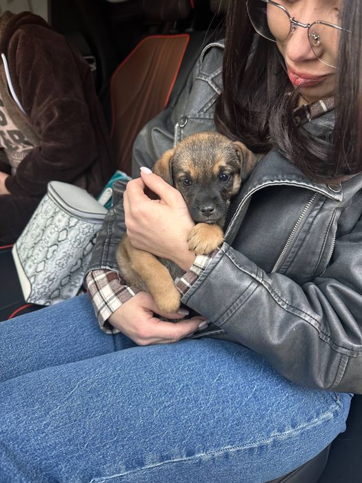 Ищем любящую семью