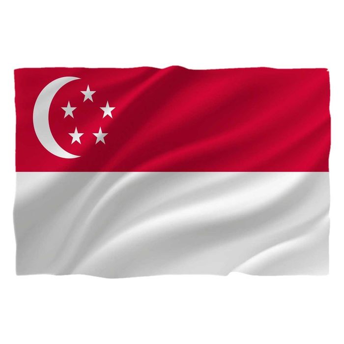Steag Singapore 150X90