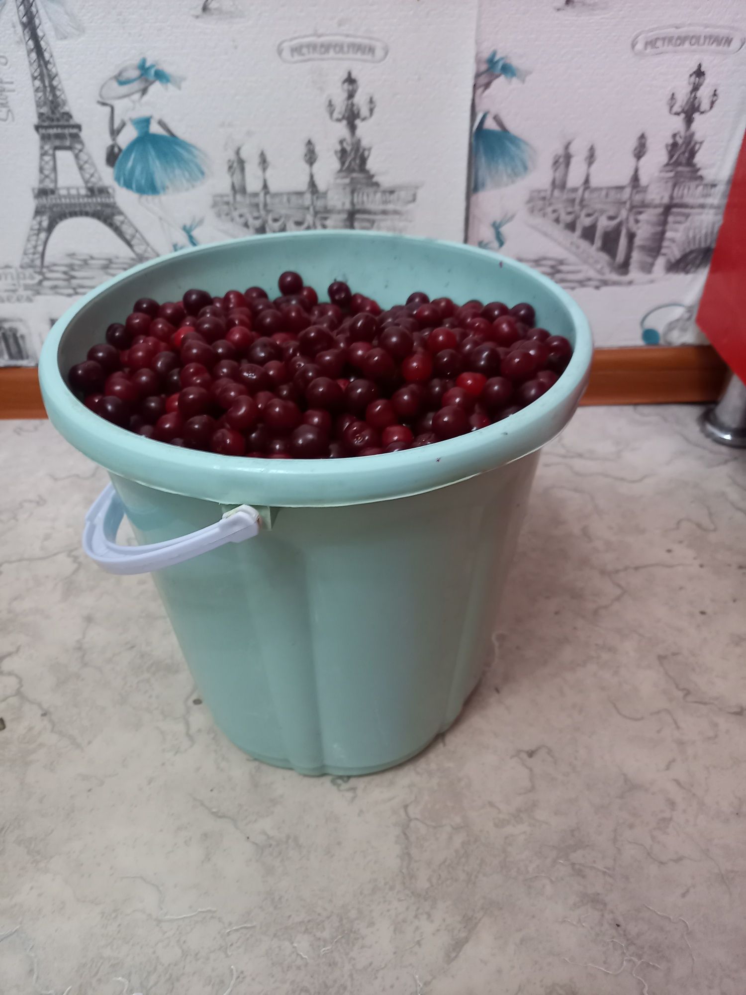 Продам вишню 10литров