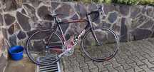 Cursiera carbon Cube M 54