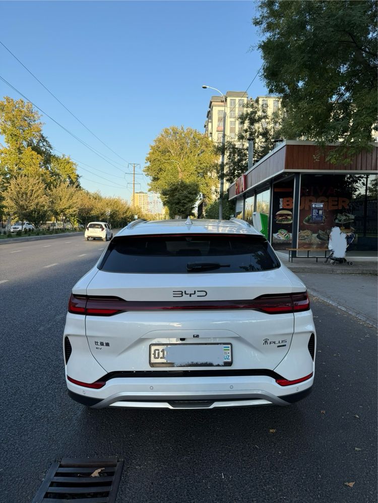 Byd chempion 605 smart 2025/2026 natariusga tayor