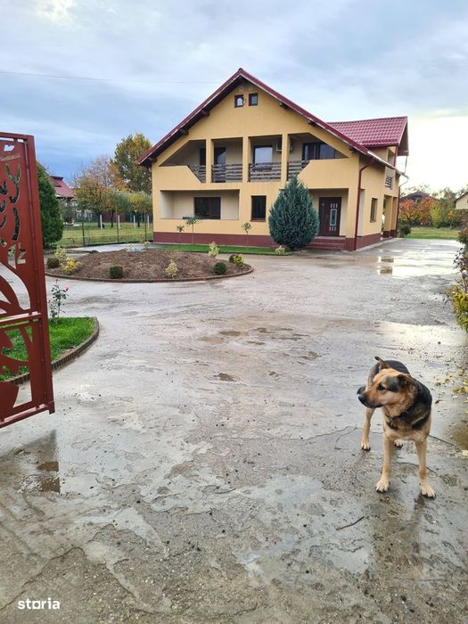 Casa  250 mp , P+M  , 17 ari, Satu Nou de Jos ,