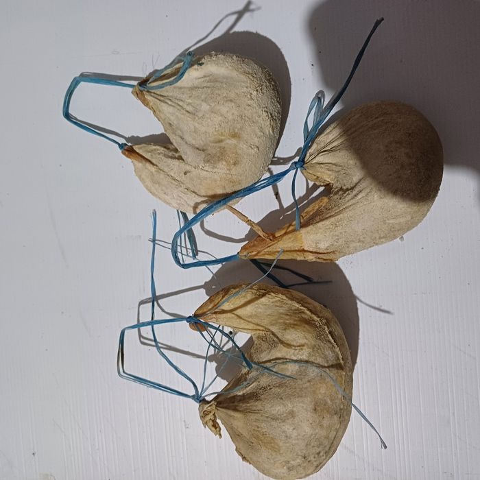 Cheaguri de miel naturale