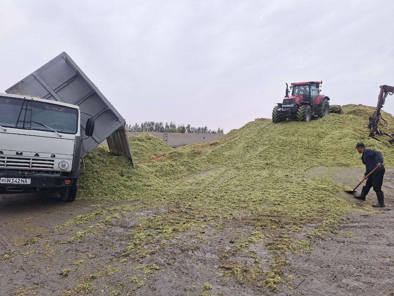 Камаз селхоз 55102