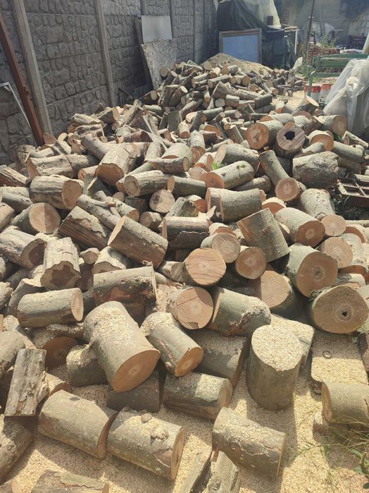 Tai lemne cu drujba la domiciliu