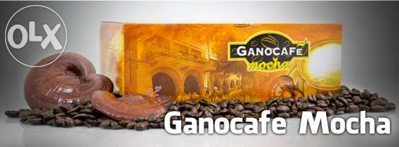 Ganoderma/Gano Cafe Mocha