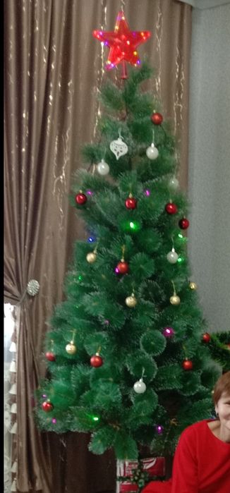 Шырша сатылады. Жаңа