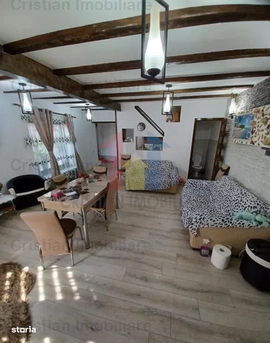 240mp utili Vila P +M teren 400mp Radu Negru MOBILATA