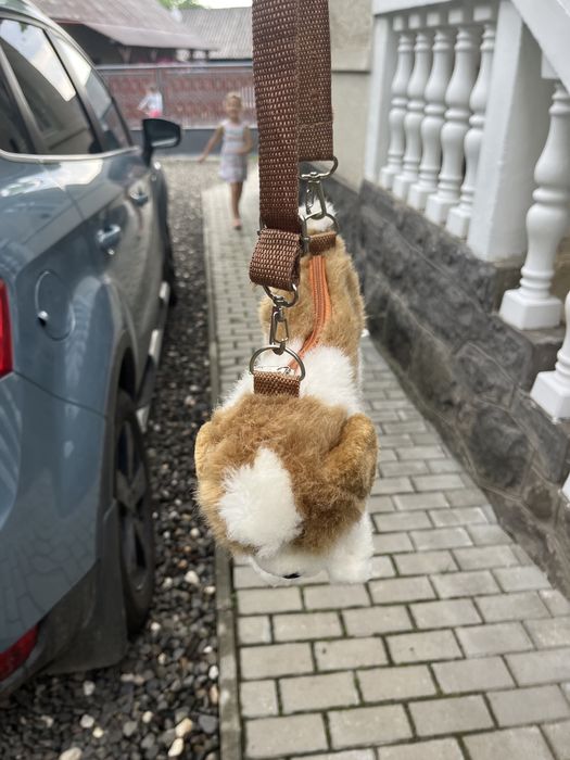 Gentuta catel, pt fetite