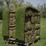 Rulou Gazon Sport,Rustic