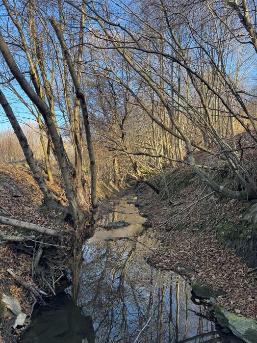 Teren intravilan, de vanzare Feleacu, zona linistita, padure + parau.