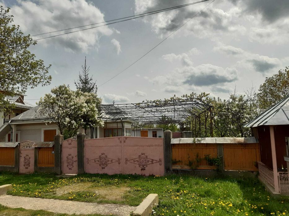 Vand casa batraneasca locuibilă cu vie și livada la 10 minute de Roman