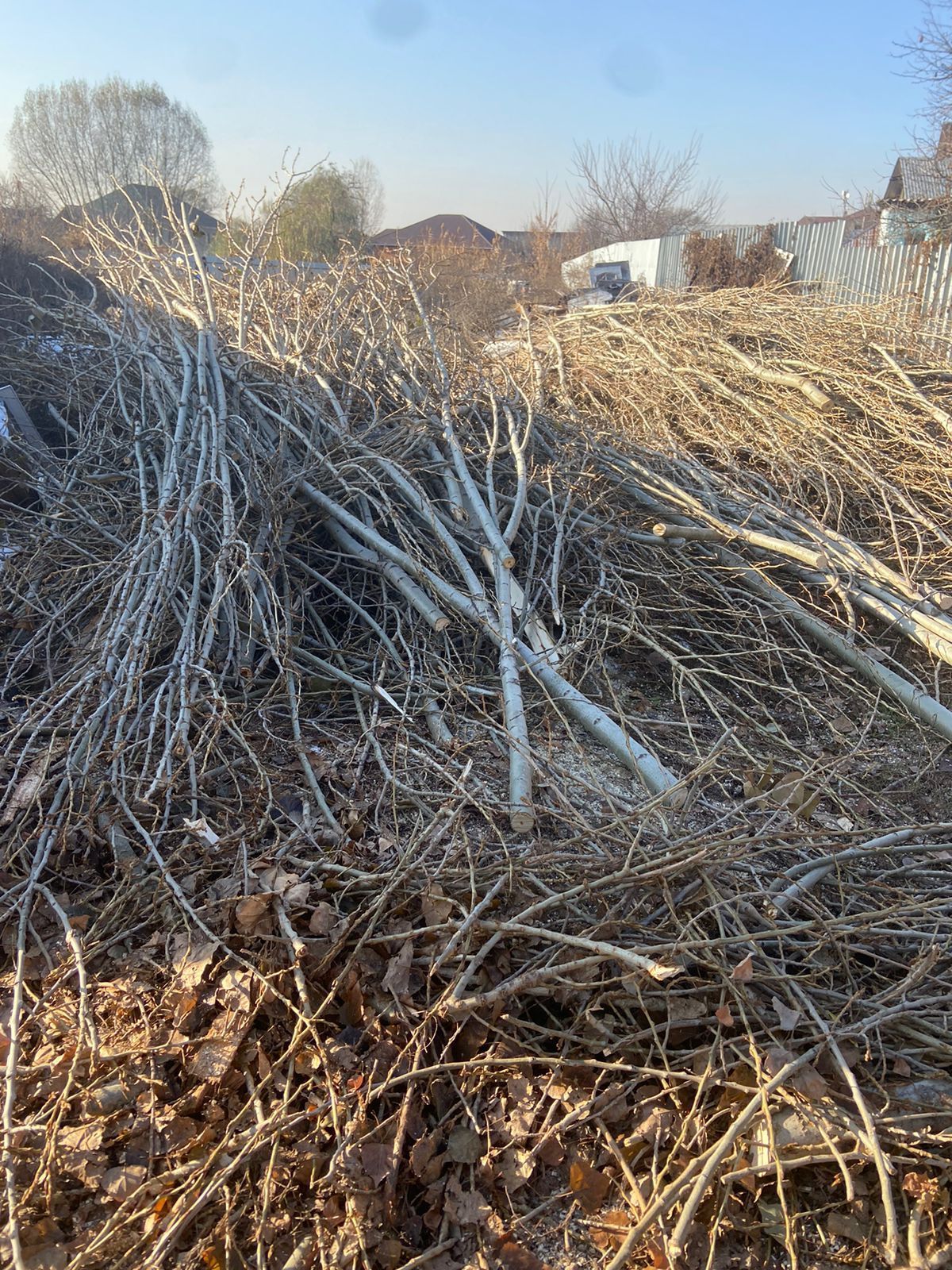 Дрова алматы срочно