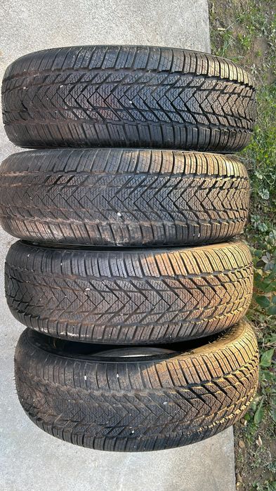 Зимний ризина Powertrac R15