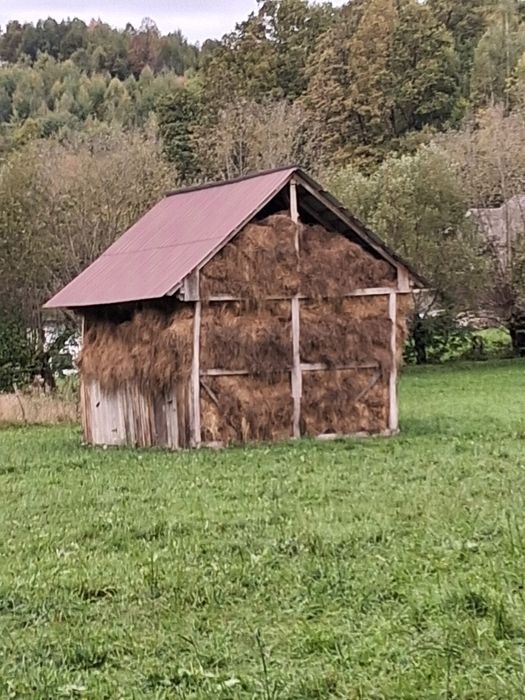 Baloti de vânzare