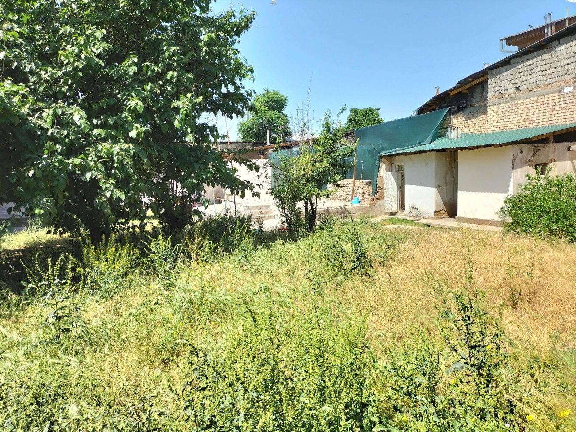 Фергана Йули 12 с