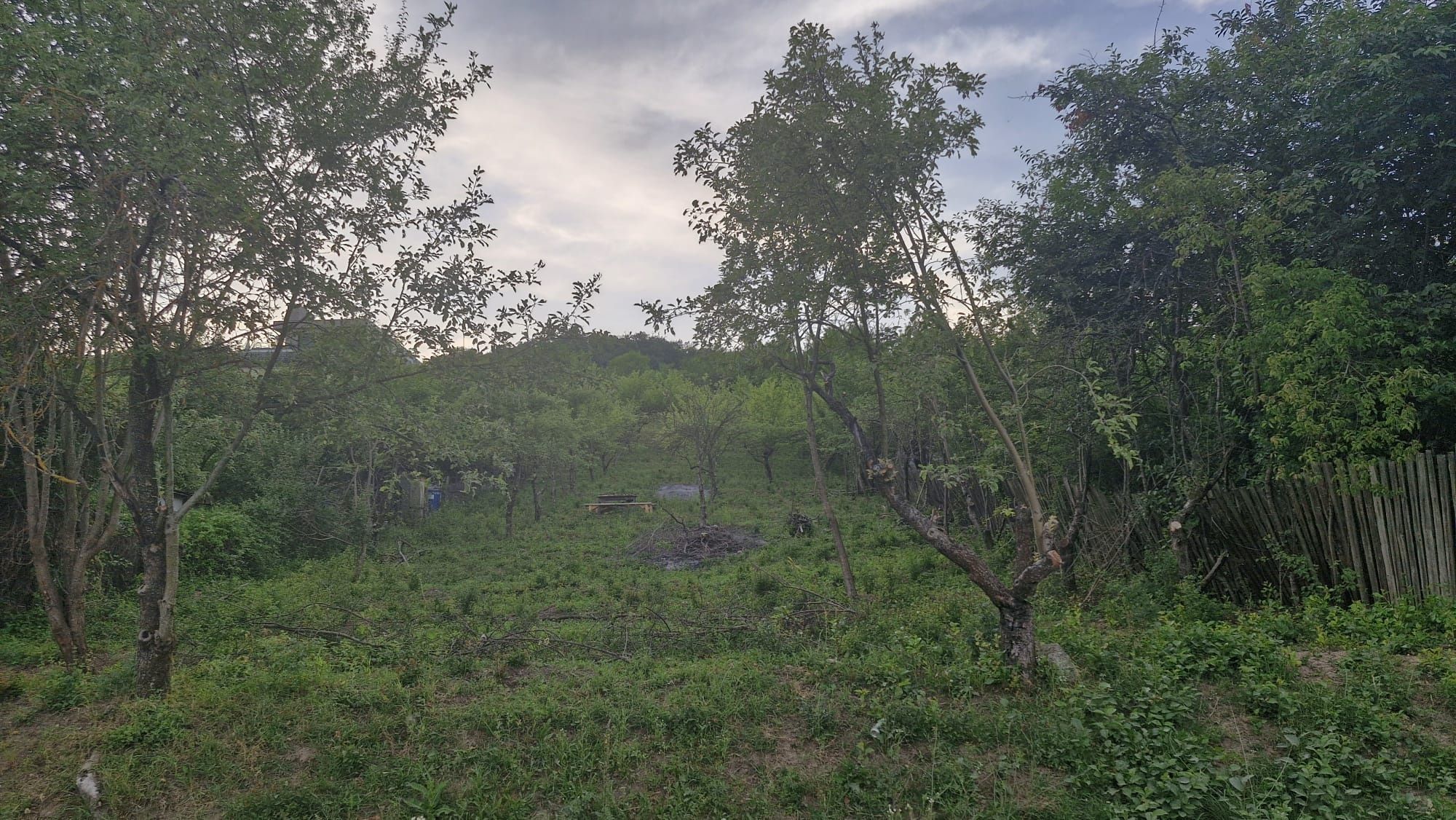 De vanzare teren intravilan 2500 mp în Viisoara