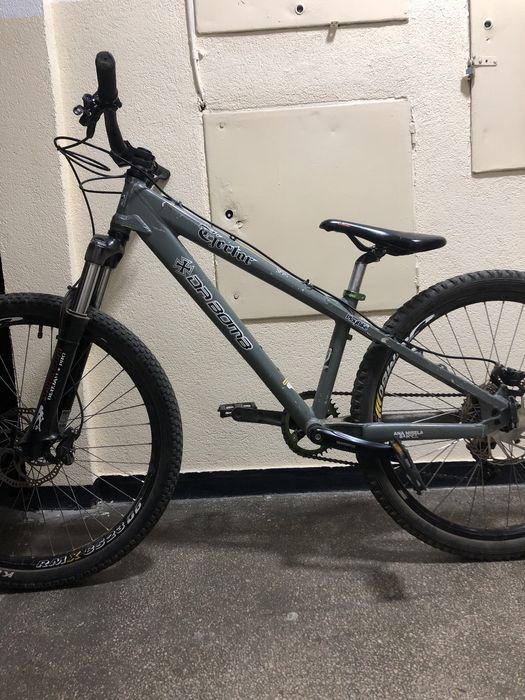 Dirt jumper custom