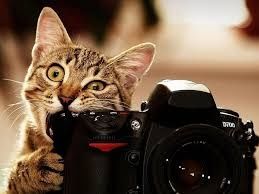 Фото-видеосьемка