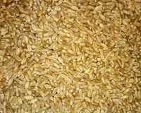 Продается пшеница