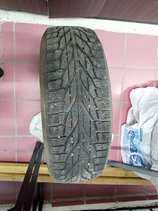 Зимние шины на Nokian Hakkapeliitta R2 SUV 225/65 R17