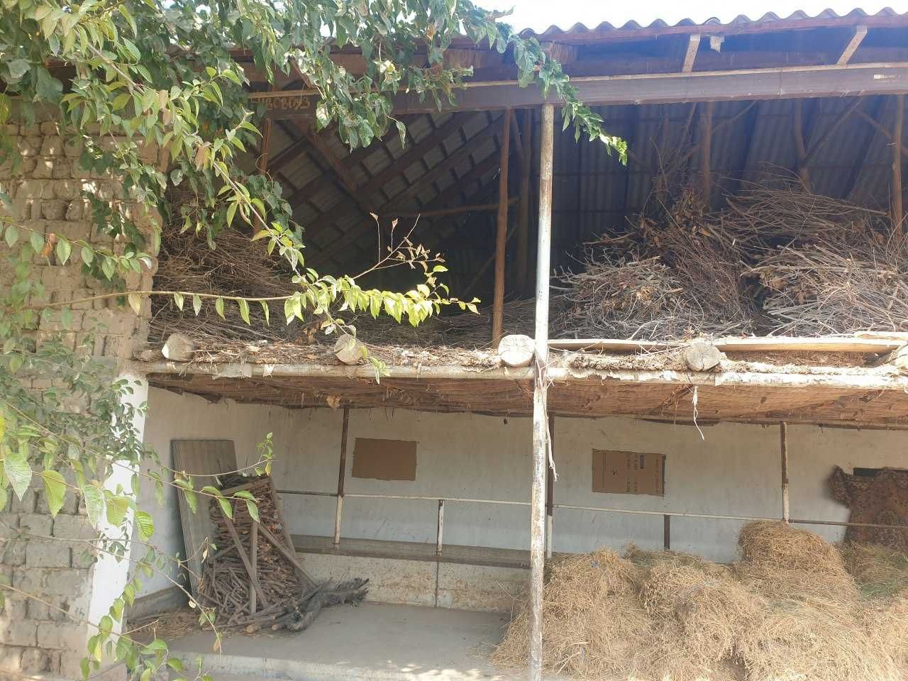 Sayxunobod tumanida molxona binosi bolib tolash sharti bilan sotiladi