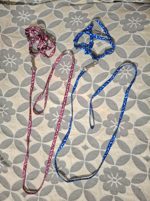 Новые шлейка+поводок для кошек и собак