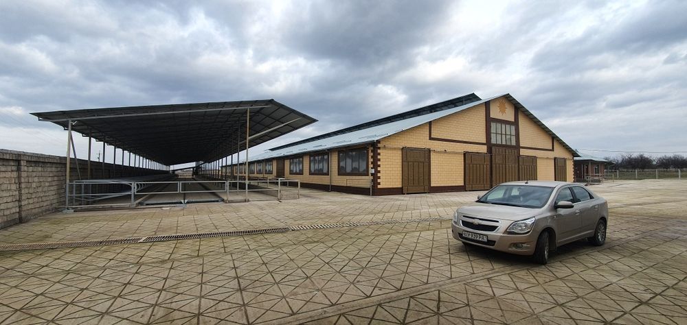 Продается молочная ферма