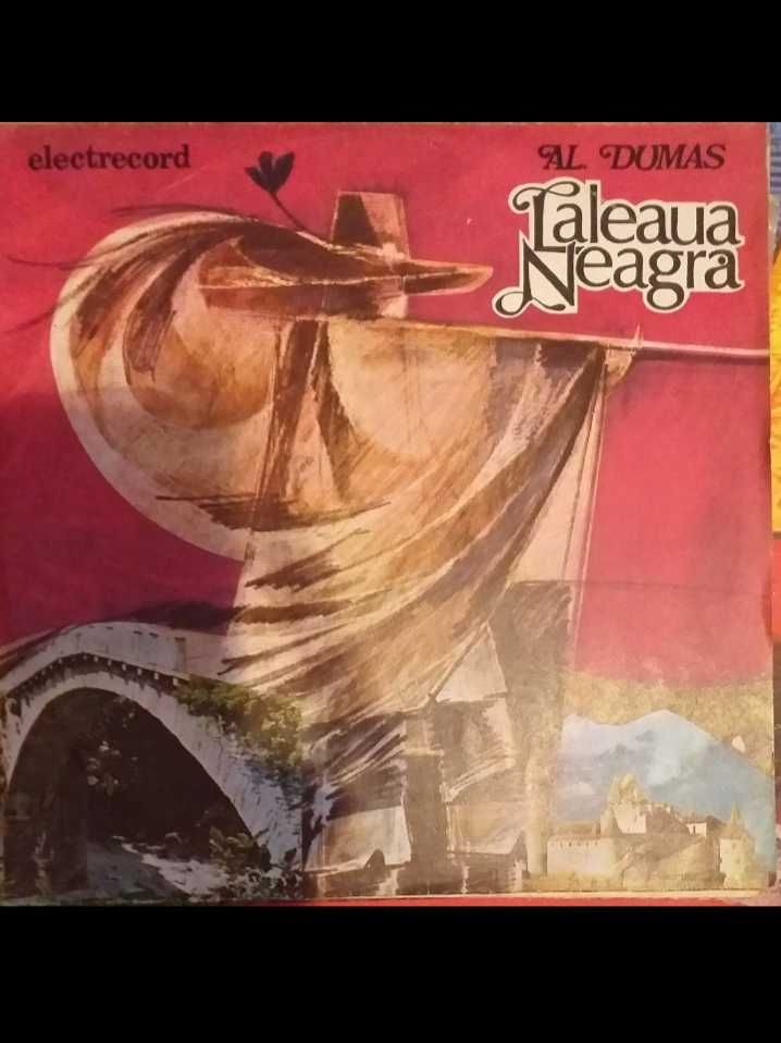 Discuri vinil/ plăci cu povești sau muzică