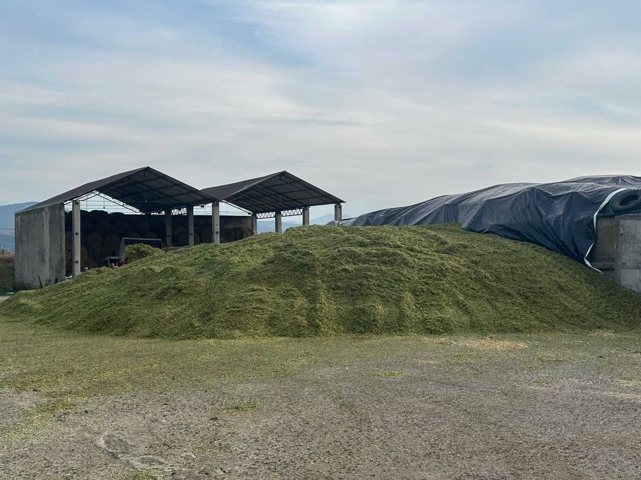 Vand Siloz pentru animale productie 2024