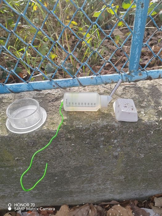 Decorațiuni hamsteri /purceluși de guineea