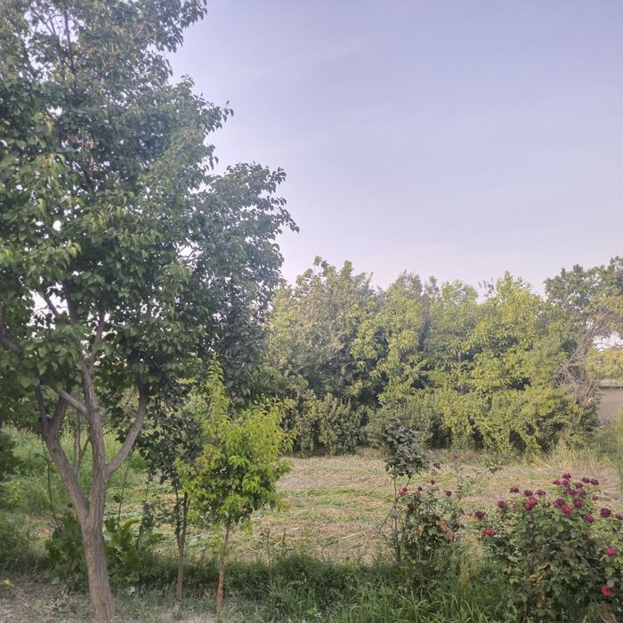 6 соток ер сотилади