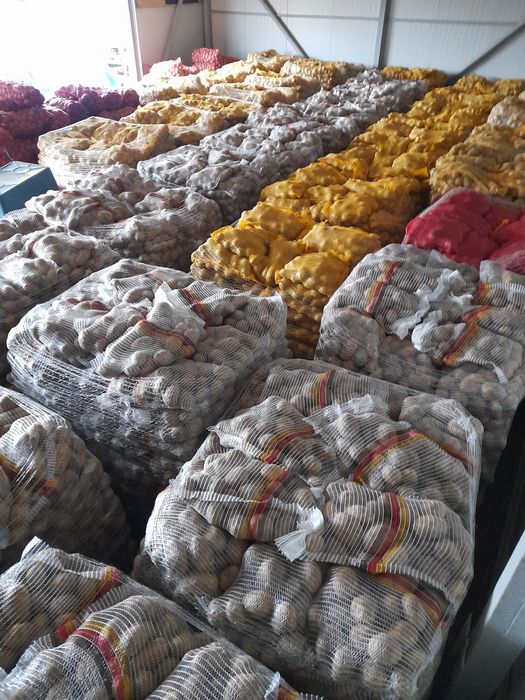 Vând cartofi alb rosu și ceapa