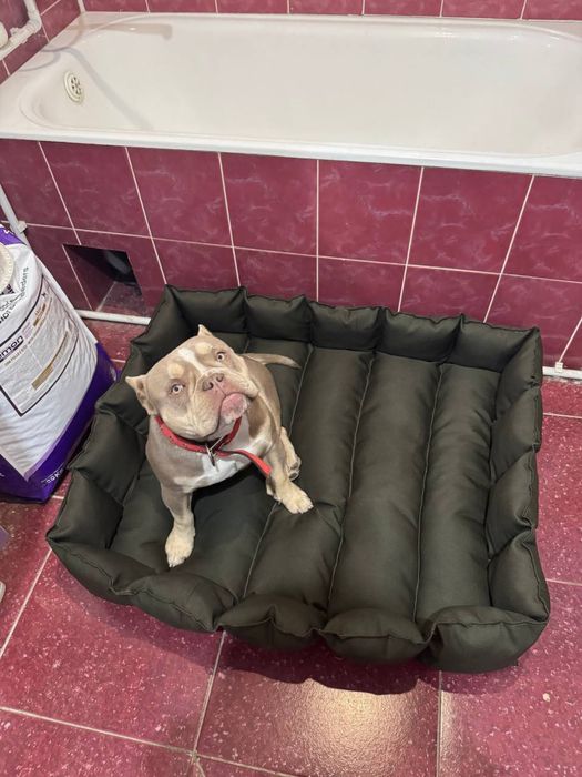 Лежанка для больших собак