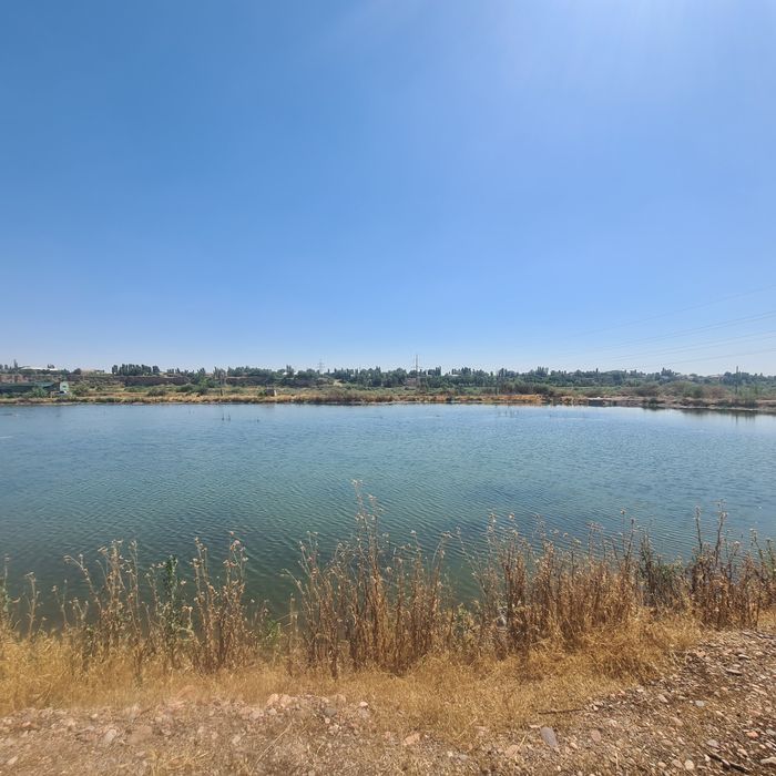 Ташморе идеальное место для туризм бизнеса