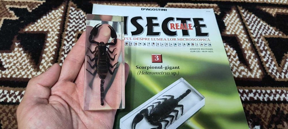 Scorpion + revista din colectia Insecte reale de vanzare