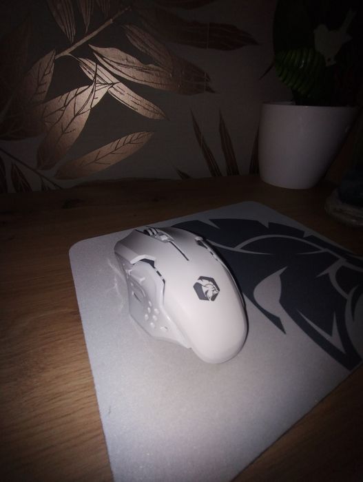 Monitor gaming Samsung+tastatură+mouse+mousepad