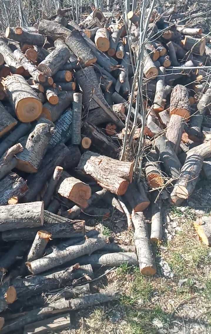 1 газель отын дрова