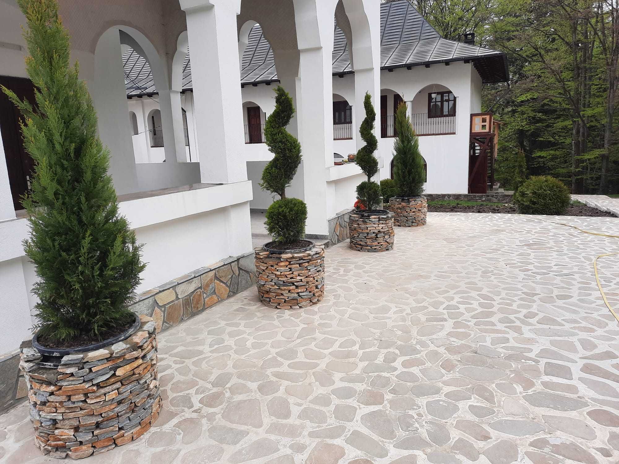 Piatra Naturală – Amenajări Unice Fără Întreținere