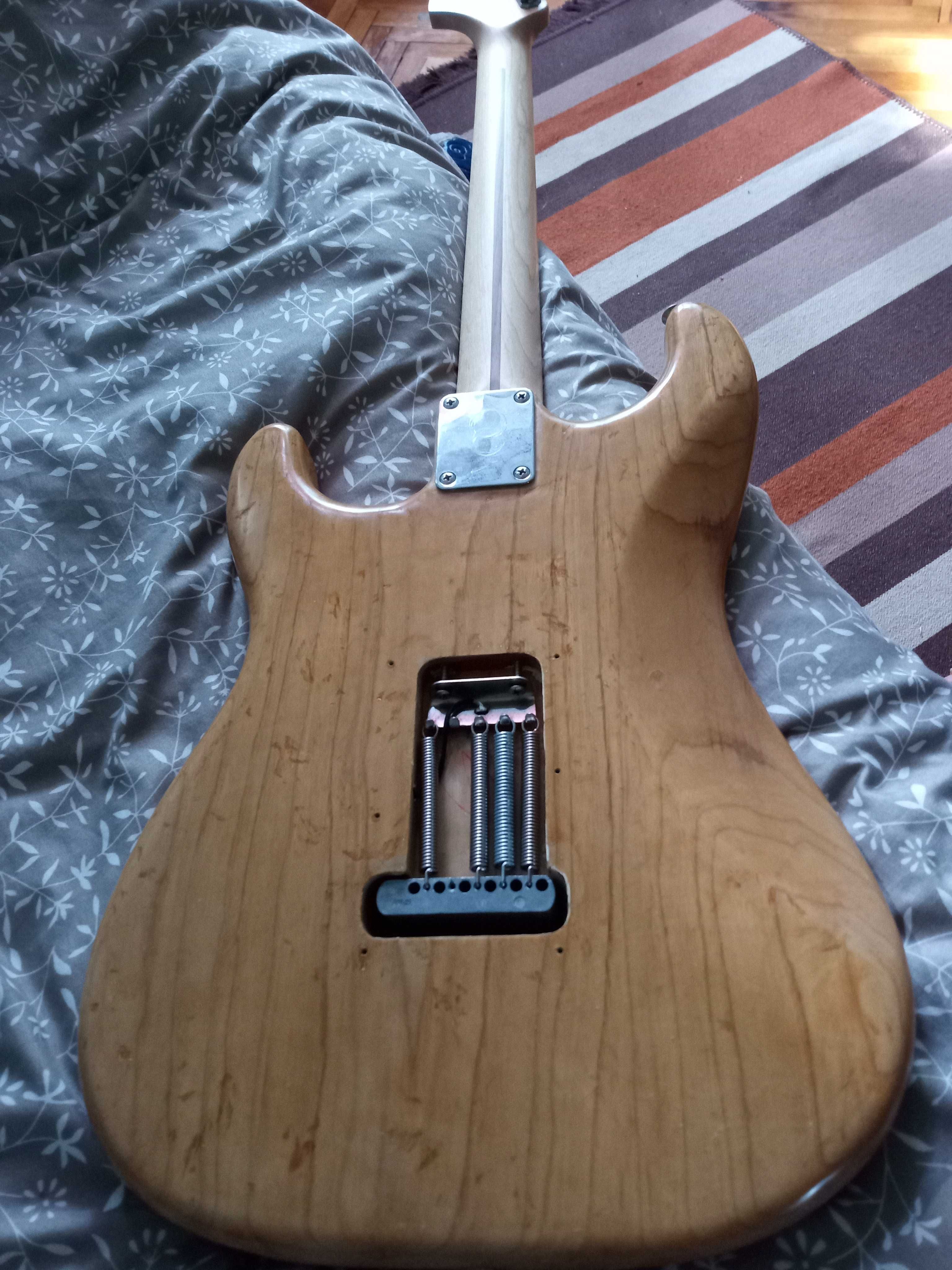 Stratocaster mexico partcaster