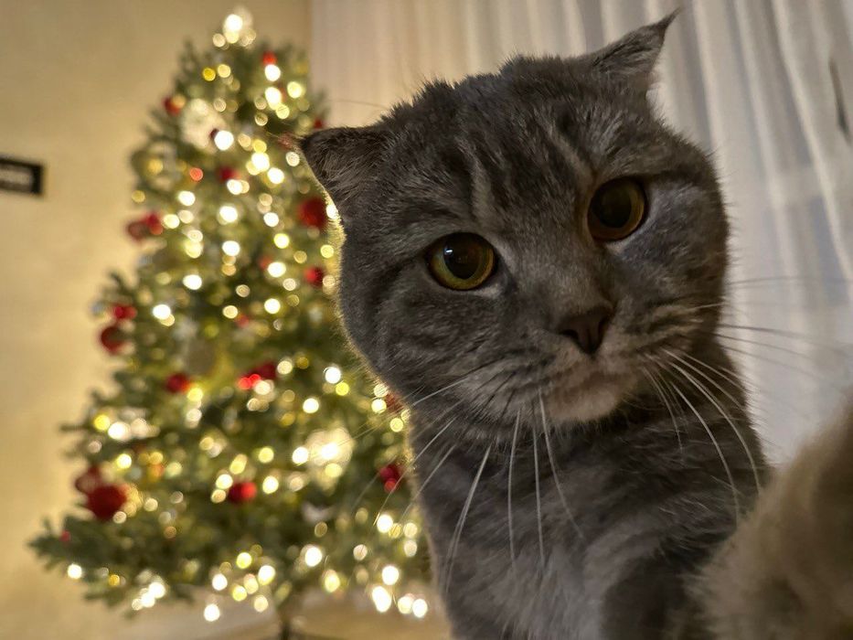 Елка искусственная 180 см с игрушками и гирляндой