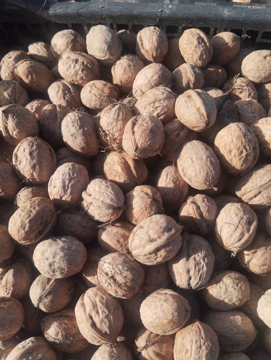 ,,Орехи,, вкусный и жырный