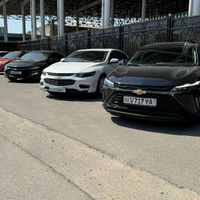 Rent car/avto prokat
